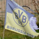 BVB 2015 - fahntastisch real