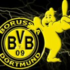 BVB Deutscher Meister 2011