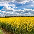 BVB Landschaft