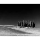 B/W #101 "Mystic Tuscany III"