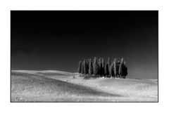 B/W #101 "Mystic Tuscany III"