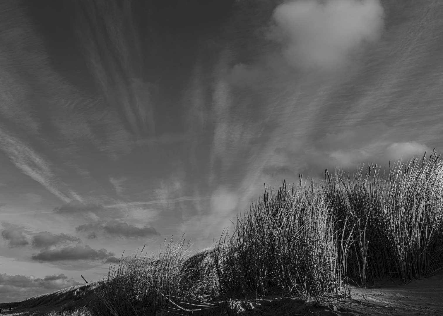 BW Darß Strand