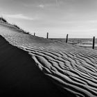 b&w dunes