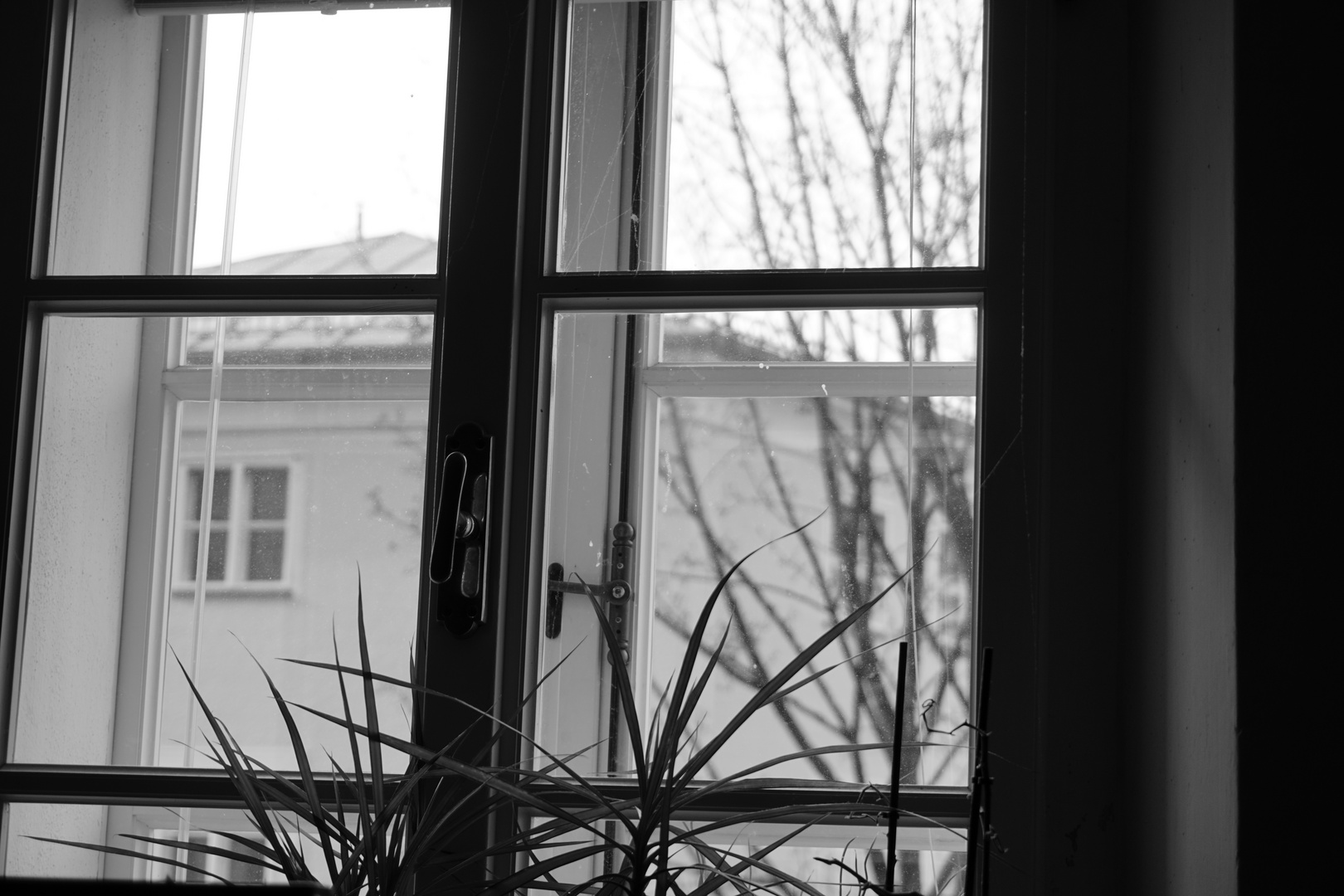 B&W Fenster