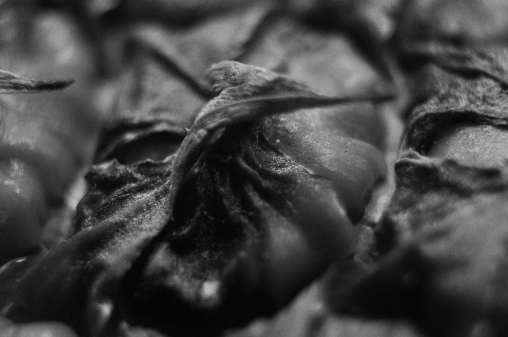 B/W-Fruit?