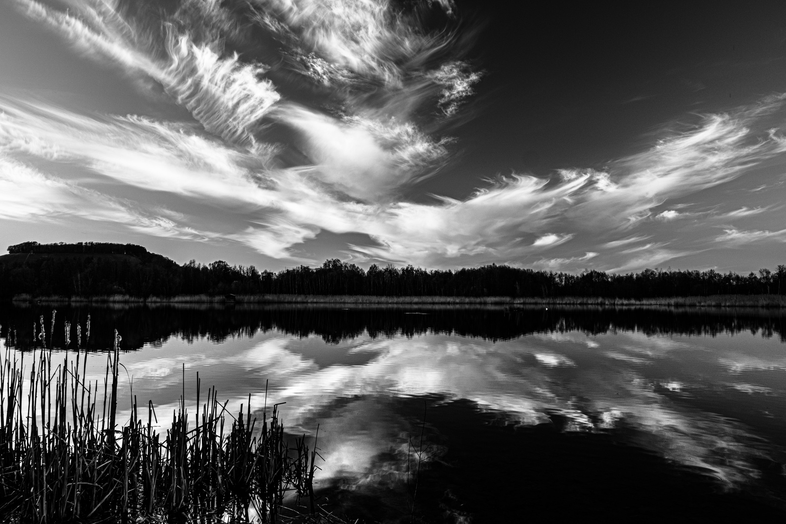 BW mirroring