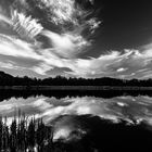 BW mirroring