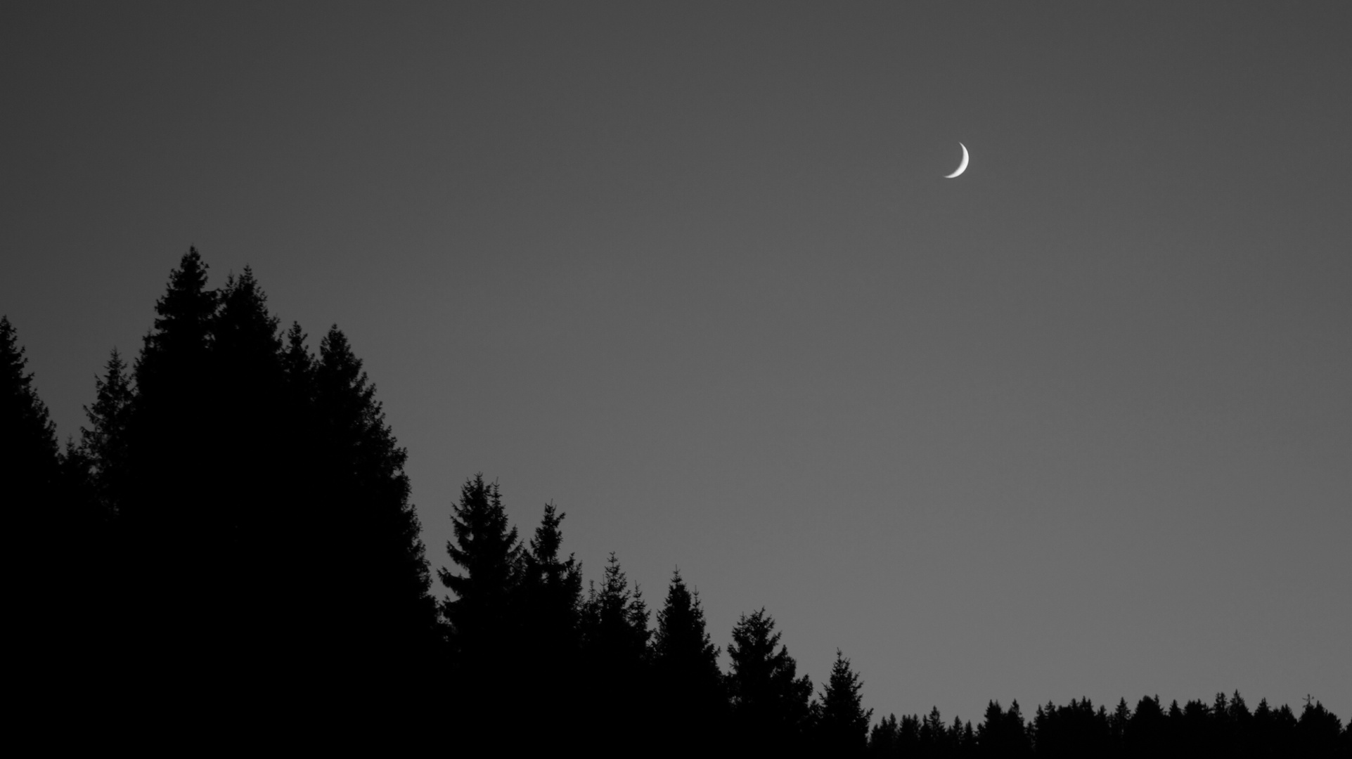 B&W - Mond über dem Schwarzwald