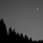 B&W - Mond über dem Schwarzwald