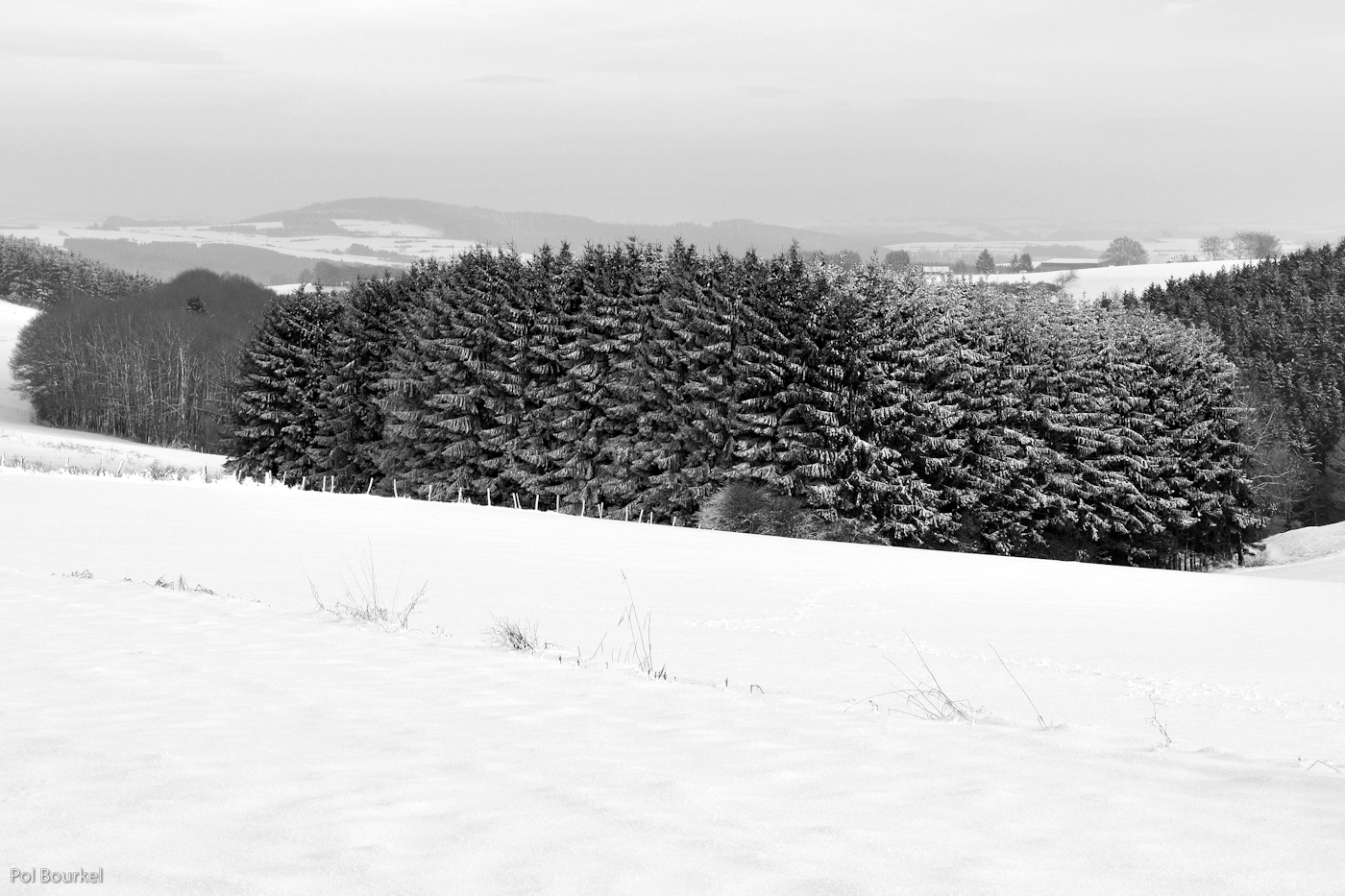 B+W Snow!