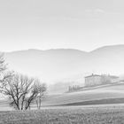 BW spring Tuscany panorama