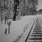 B&W Winter :: Tracks 5