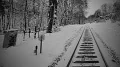 B&W Winter :: Tracks 5