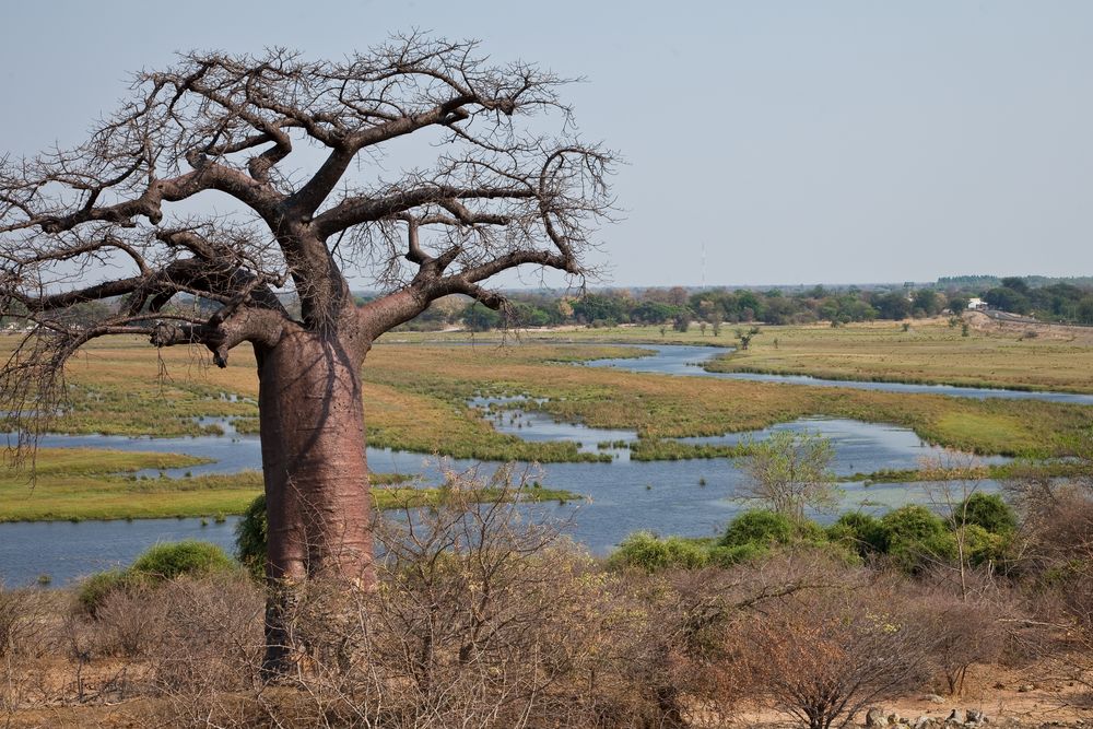 Bwabwata-Nationalpark