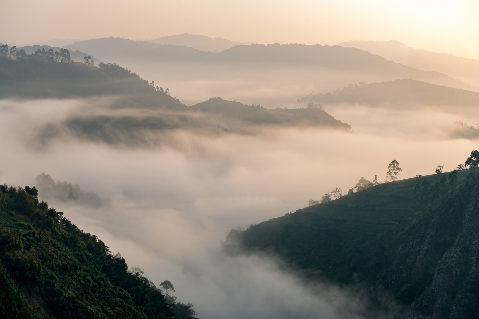 Bwindi_morning-02998fin