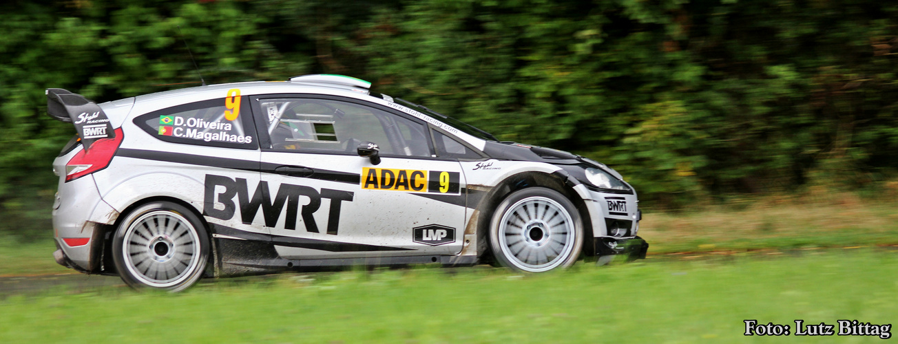 BWRT (Brazil World Rally Team)