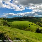 By Devil's Dyke on the South Downs, West Sussex, England.