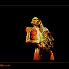 by Gunther von Hagens