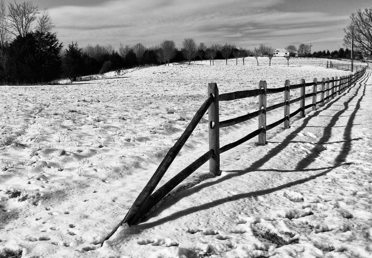 By the Horse Farm