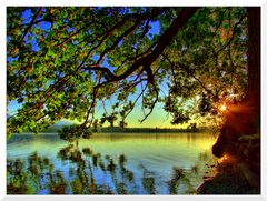 By the Lake