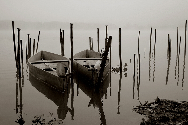 By the lake