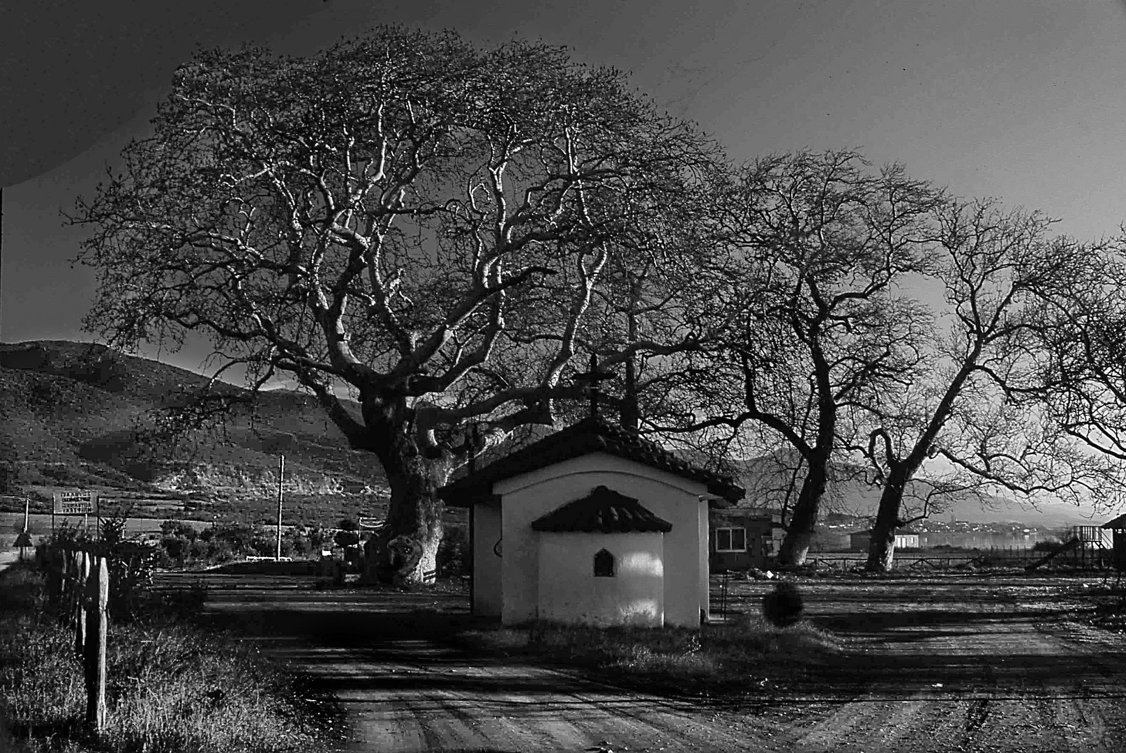 By  the lake  Volvi