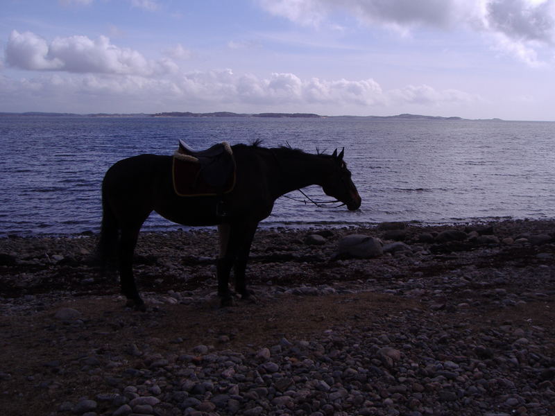 By the ocean