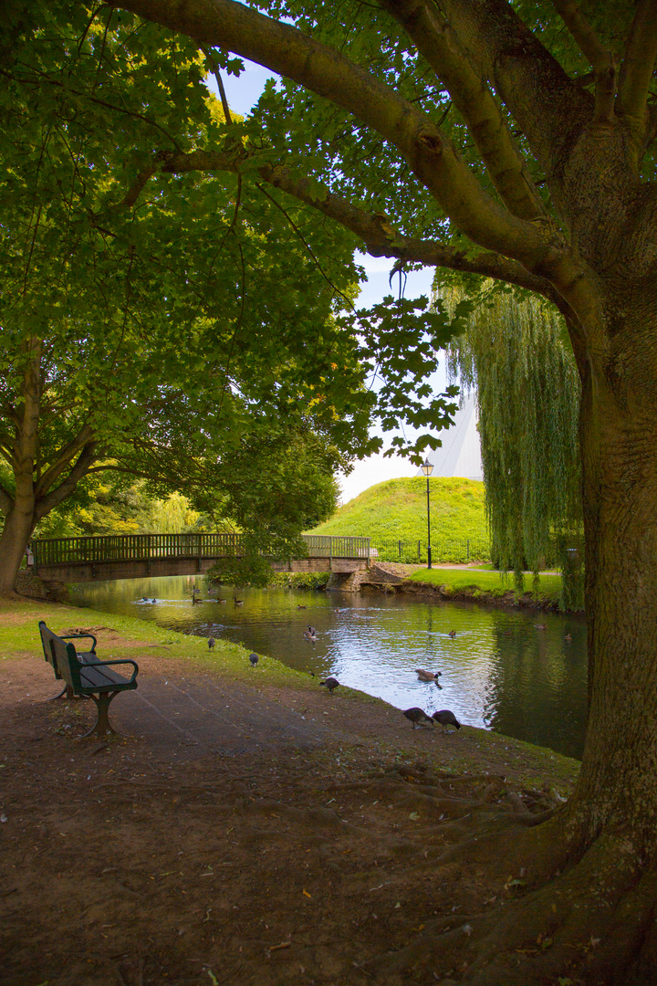 By the river