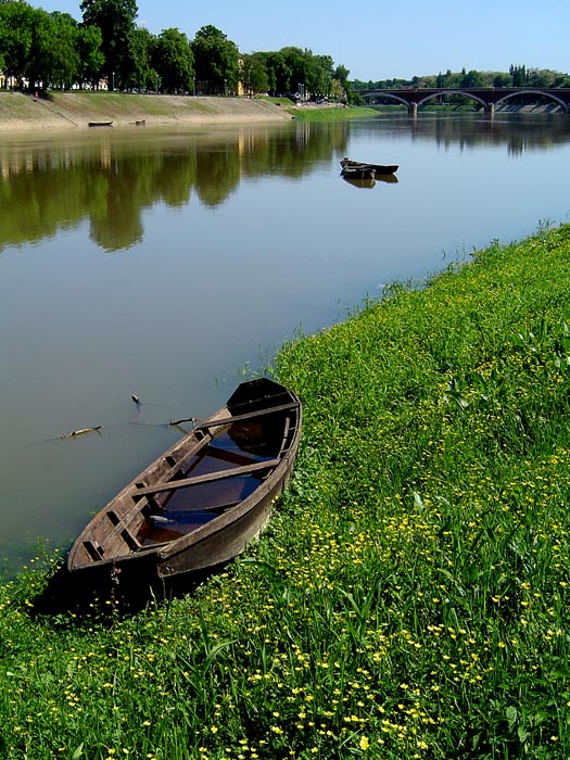 By the river