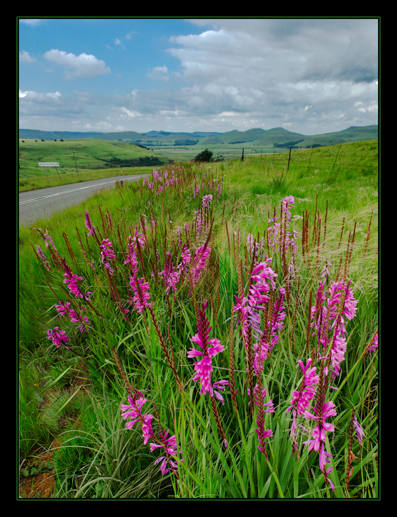 By the roadside