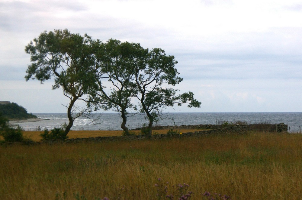 By the sea in gotland :D