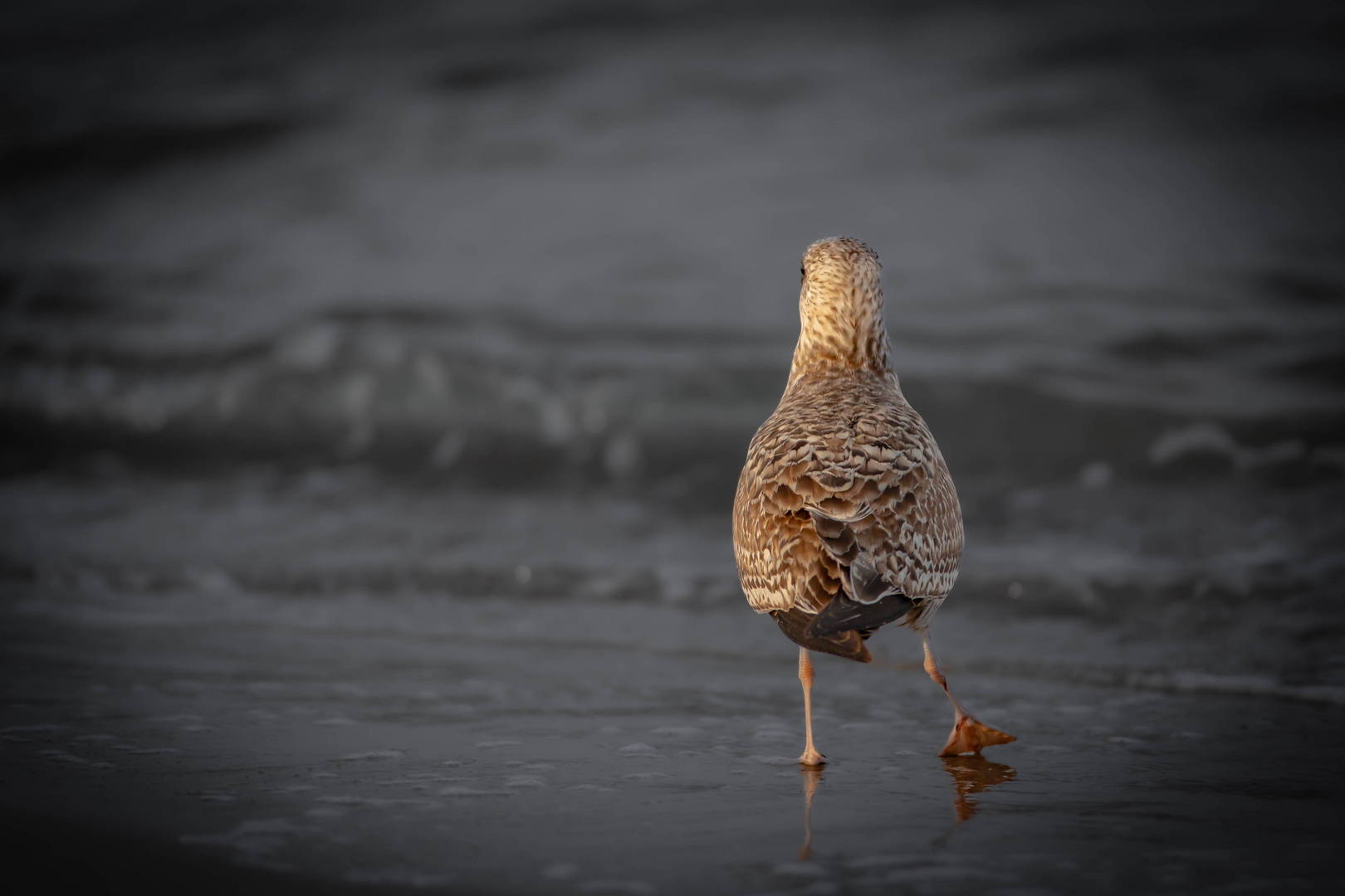 Bye bye,.... Foto & Bild fotos, world, wasser Bilder auf