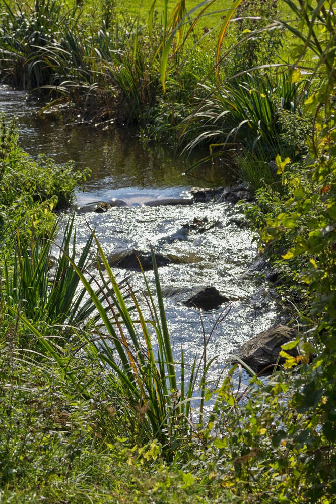 Bypass der Schwalm bei Brüggen