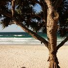 Byron Bay Beach