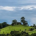 Byron Bay Hinterland