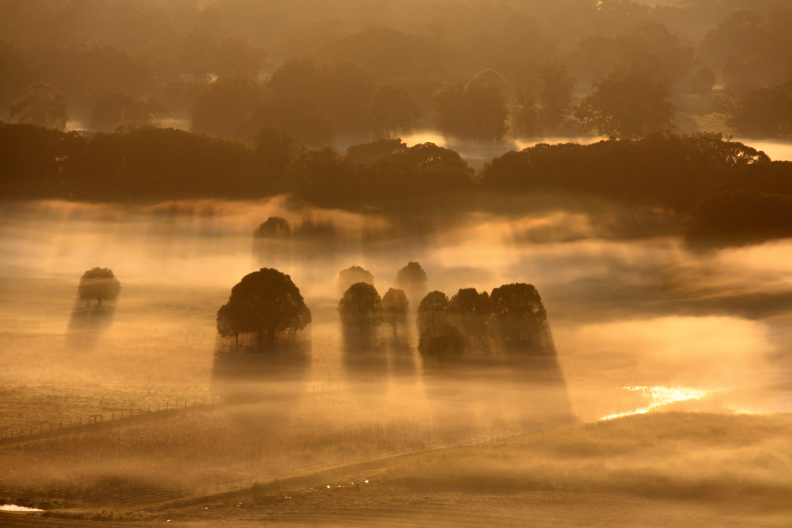 Byron Bay-Hinterland - Ballonfahrt in den Sonnenaufgang