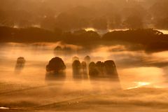 Byron Bay-Hinterland - Ballonfahrt in den Sonnenaufgang