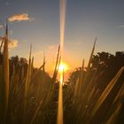 Byron bay's sunset