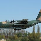 C-130 Algerian AF