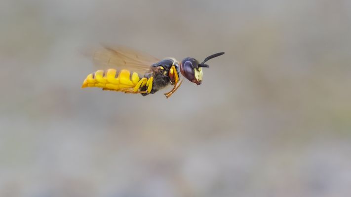 „ c a t c h . m e . . . i f . y o u . c a n “