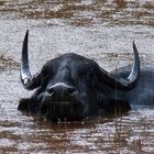 C est énervant la pluie!!!