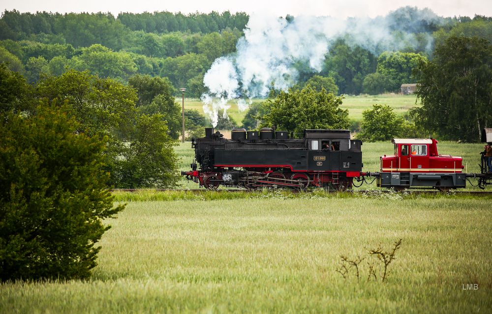 C-Kuppler mit Dieseltender