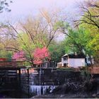 C & O Canal at Great Falls in Springtime