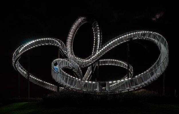 C-Tiger&Turtle12 (1 von 1)