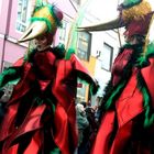 C0022 Carneval Animal (1)