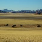 C0074 Namibia Farmland in den Tirasbergen