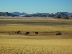 C0074 Namibia Farmland in den Tirasbergen