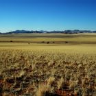 C0075 Namibia Farmland in den Tirasbergen