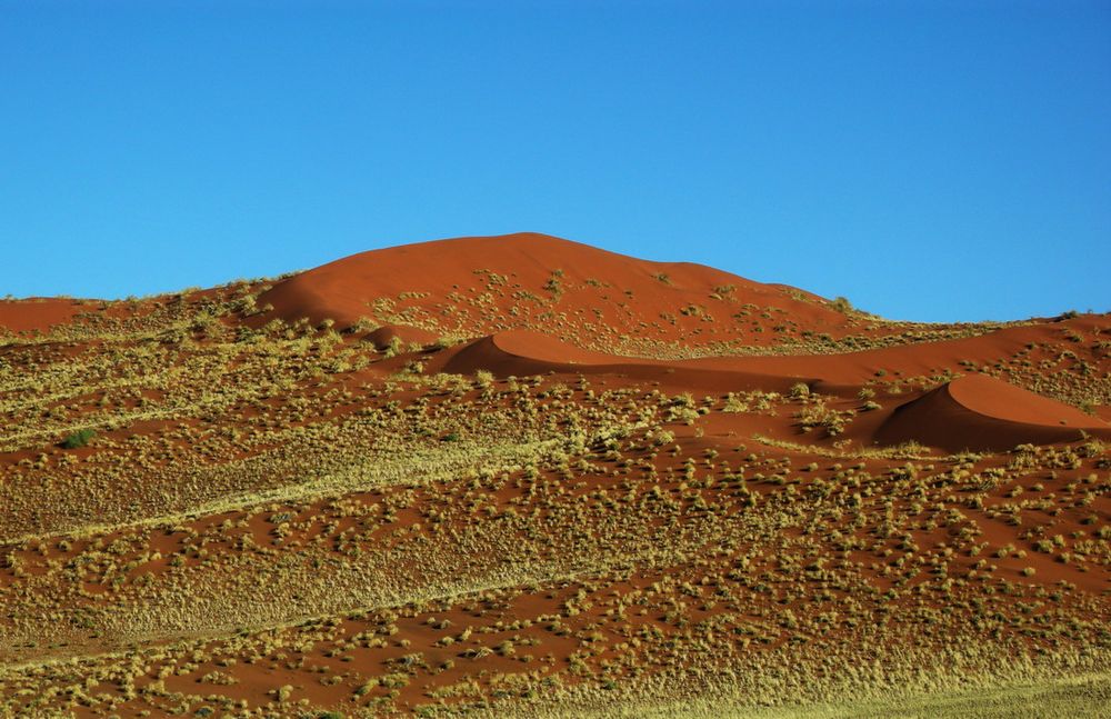 C0077 Namibia am Sossusvlei