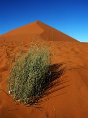 C0078 Namibia Sossusvlei